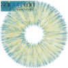 Haipurecon Angeles N Blue 14.2mm 0.08mm 두께 연간 일회용 콘택트 렌즈