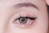 Kontaktn&iacute; čočky Haipurecon Black swan brown 14,5 mm s v&yacute;konem